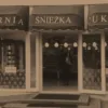 Zakłady Śnieżka
